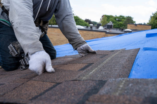Best Roof Waterproofing Services  in Elma, WA
